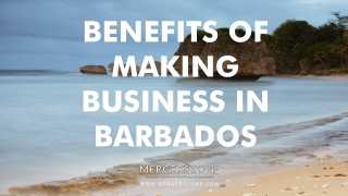 Benefits of Making Business in Barbados | Buy & Sell Business