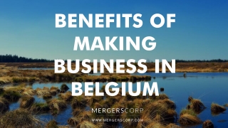 Benefits of Making Business in Belgium | Buy & Sell Business