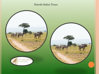 Nairobi Safari Tours