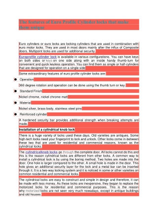 The features of Euro Profile Cylinder locks that make them unique