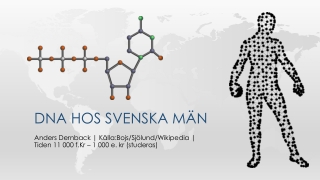 DNA hos svenska män