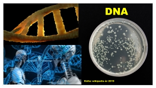 DNA