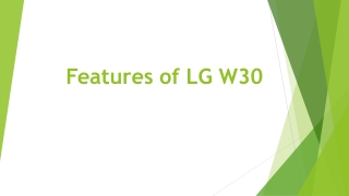 Features of LG W30