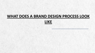 What Does A Brand Design Process Look Like & It’s Importance