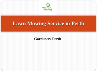 Lawn Mowing Service in Perth by Professionals