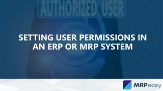 Setting User Permissions in an ERP or MRP System
