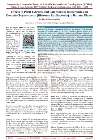 Effects of Plant Extracts and Commercial Bactericides on Erwinia Chrysanthemi Rhizome Rot Bacteria in Banana Plants