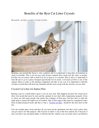 Benefits of the Best Cat Litter Crystals