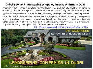 Swimming Pool construction company Dubai