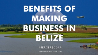 Benefits of Making Business in Belize_ Buy & Sell Business