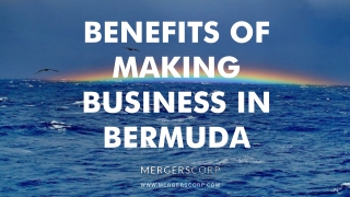 Benefits of Making Business in Bermuda_ Buy & Sell Business