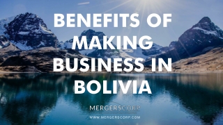 Benefits of Making Business in Bolivia | Buy & Sell Business