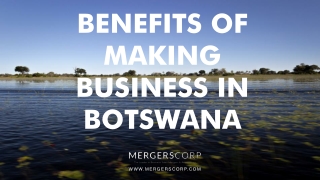 Benefits of Making Business in Botswana | Buy & Sell Business