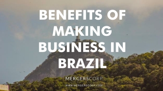 Benefits of Making Business in Brazil | Buy & Sell Business