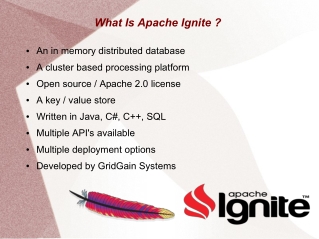 Apache Ignite