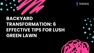 Backyard Transformation: 6 Effective Tips for Lush Green Lawn!