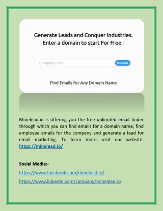 Lead Generation for Email Marketing_Minelead.io LTD