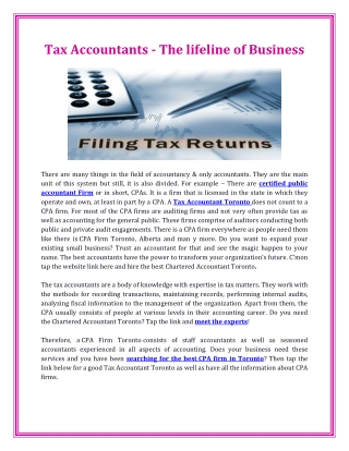 Tax Accountants - The lifeline of Business