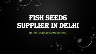 Fish Seeds supplier in Delhi