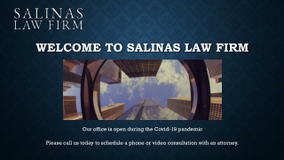 Immigration Lawyer Houston at Salinas Law Firm