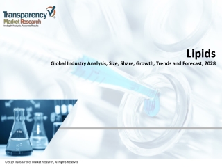 Lipids Market Report and Forecast 2018-2028