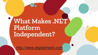 What makes .net platform independent ?