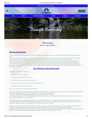 Triumph Mentorship Program LA California | Divine Light Healing