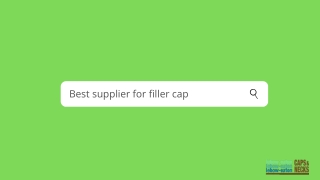 Best supplier for filler cap