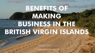 Benefits of Making Business in British Virgin Is | Buy & Sell Business