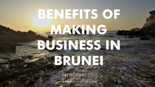 Benefits of Making Business in Brunei | Buy & Sell Business