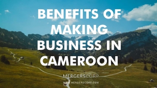 Benefits of Making Business in Cameroon | Buy & Sell Business