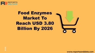 Food Enzymes Market Emerging Trends, Global Scope and Demand 2020