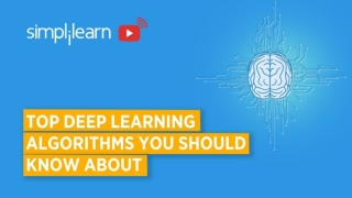 Top Deep Learning Algorithms You Should Know About | Deep Learning Algorithms Explained |Simplilearn