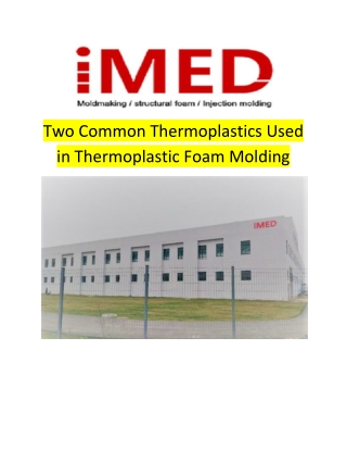 Two Common Thermoplastics Used in Thermoplastic Foam Molding