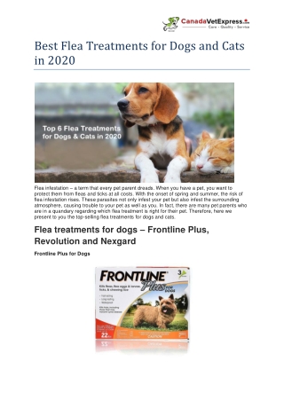 Best Flea Treatments for Dogs and Cats in 2020- CanadaVetExpress
