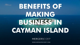 Benefits of Making Business in Cayman Island | Buy & Sell Business