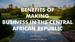 Benefits of Making Business in Central African Rep. | Buy & Sell Business