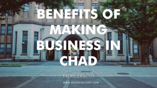 Benefits of Making Business in Chad | Buy & Sell Business