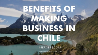 Benefits of Making Business in Chile | Buy & Sell Business