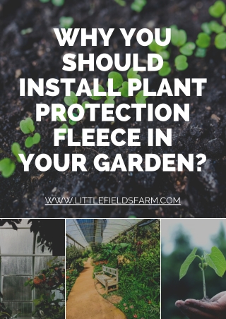 Why You Should Install Plant Protection Fleece In Your Garden?