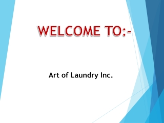 One of the best Mobile Laundry Service in Brampton