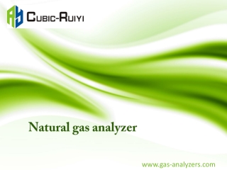 Natural Gas Analyzer