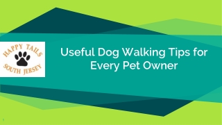 Dog Walking Tips for Every Pet Owner