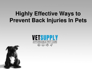 Highly Effective Ways to Prevent Back Injuries In Pets