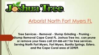 Arborist North Fort Myers FL