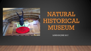 Natural Historical Museum London