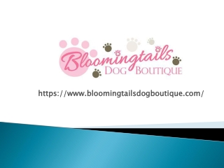 Buy 2 Get 1 Free All Sales & Clearance By Blooming tails Dog Boutique