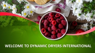 Fruit Dryer