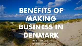 Benefits of Making Business in Denmark | Buy & Sell Business