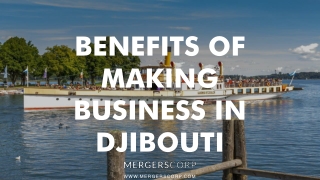 Benefits of Making Business in Djibouti | Buy & Sell Business